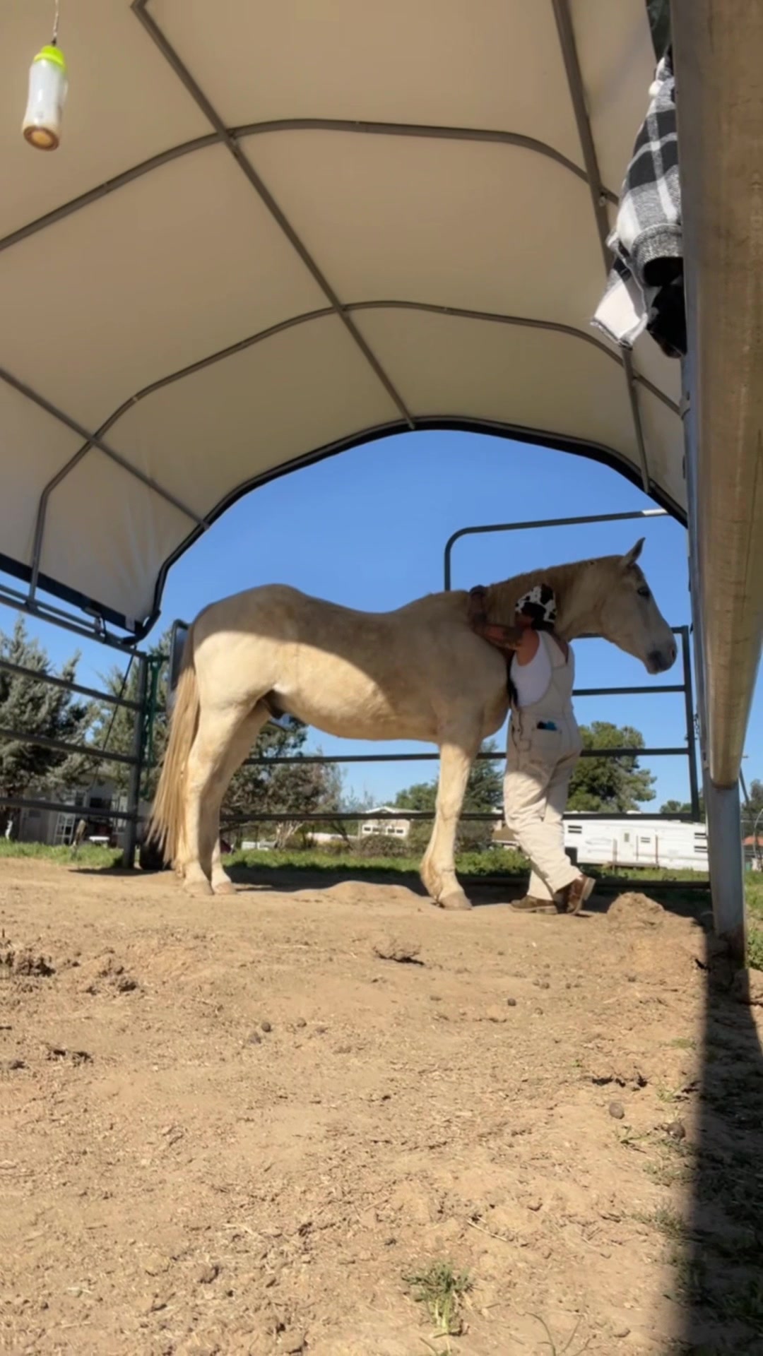 @Wendy aka Nana's Ranch