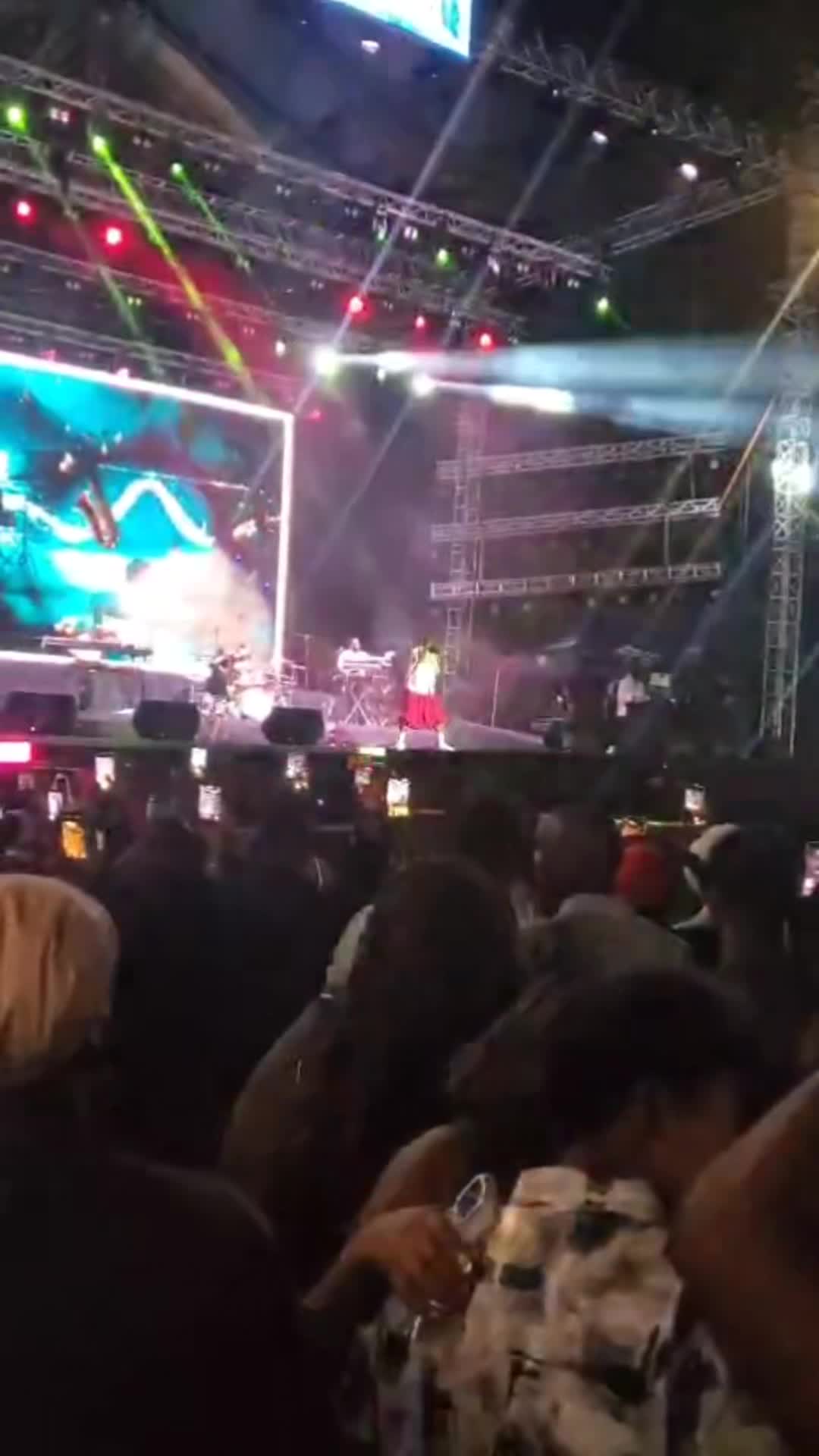 @nassebu