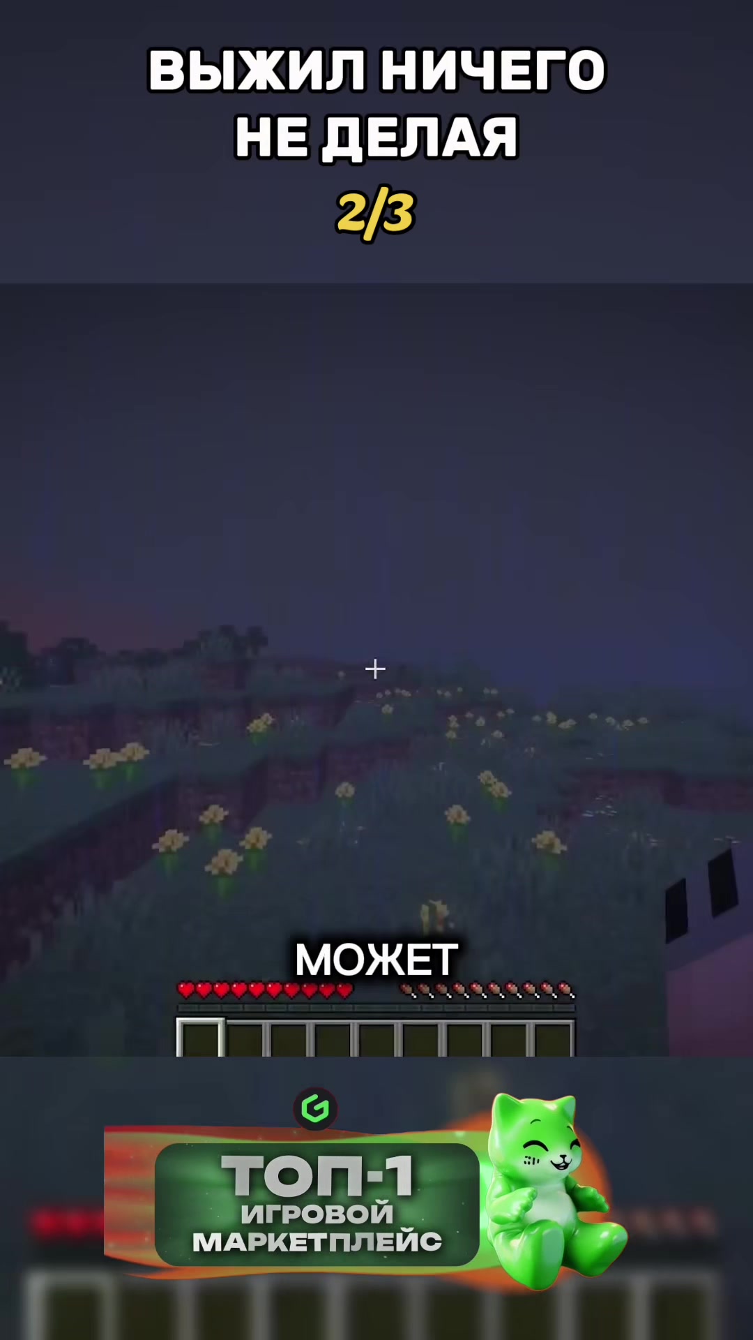 @Shonecky