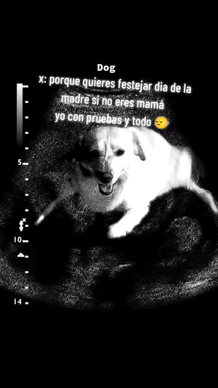 @CLAU ✨🫦