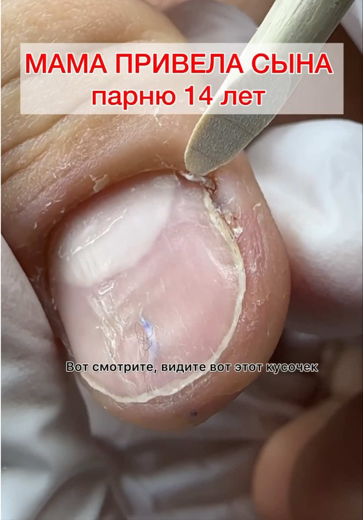 @Алёна Лаврентьева