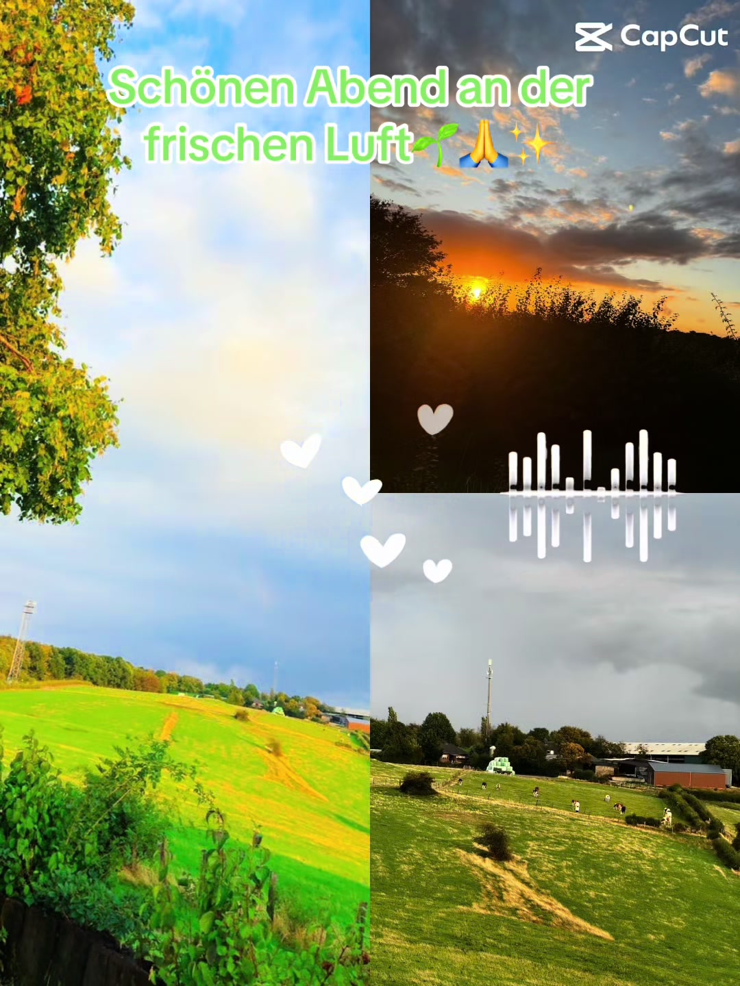 @❦❧𝑺𝒉𝒊𝒓𝒊𝒏☙❦