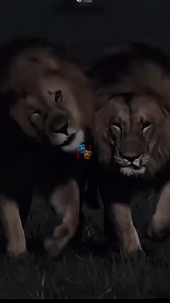 @مــــــــــنـــ😎ــــصــــــور