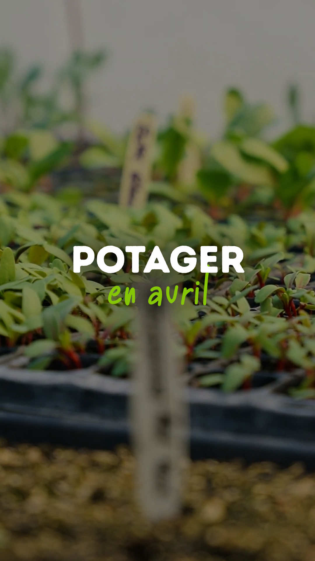 @Goran Le Permaculteur