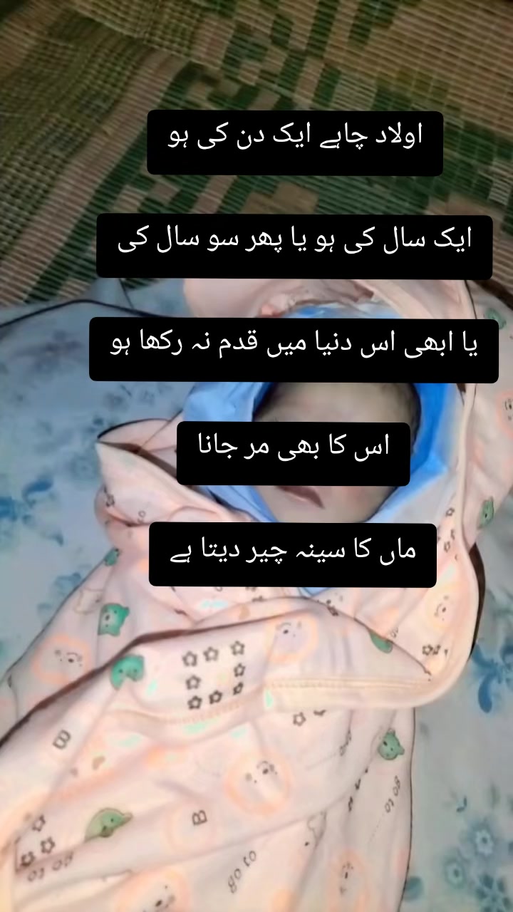 @Fatima Faisal❤️