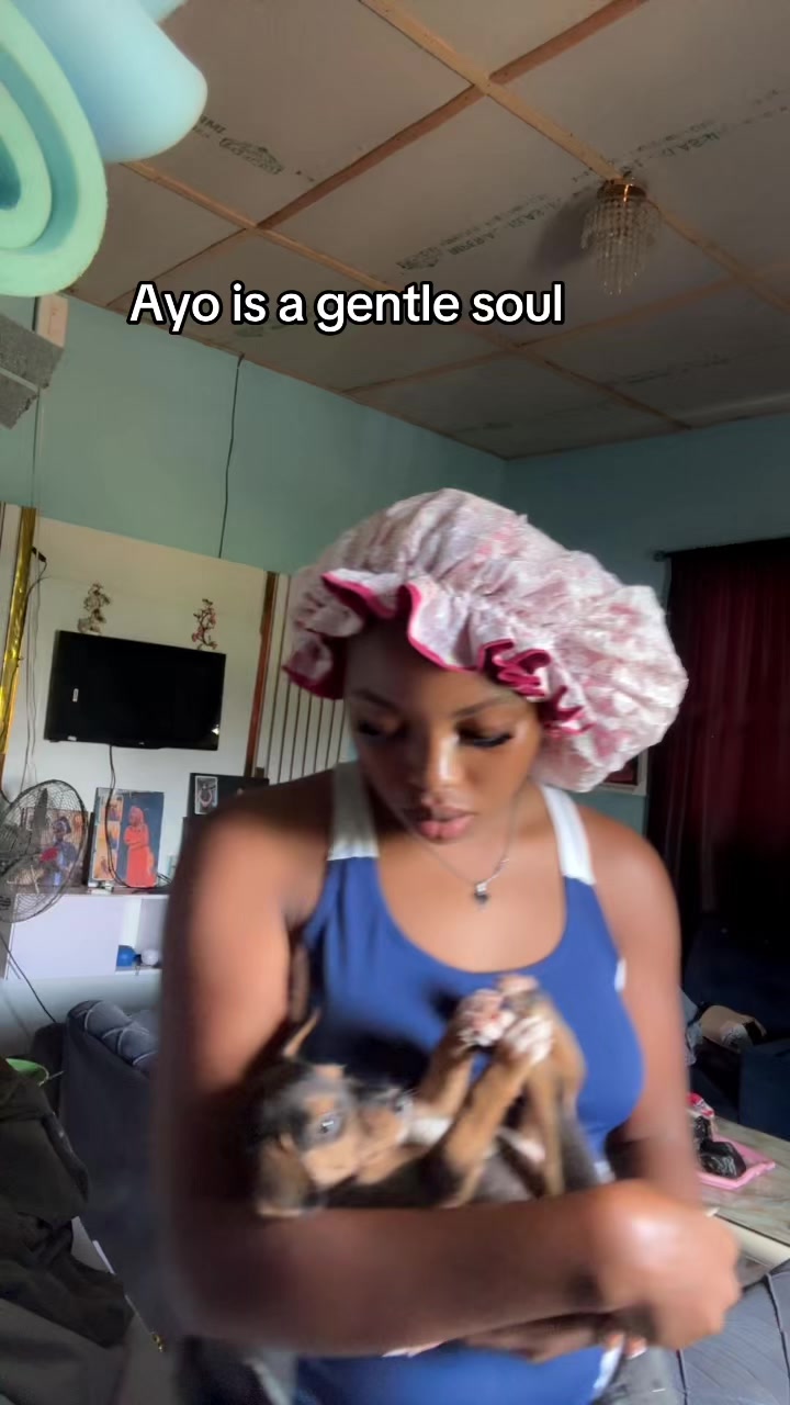 @Tizydiaryy🌬️💕🕊️📝
