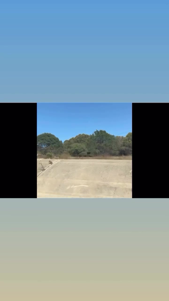 @TacoBellChipmunk