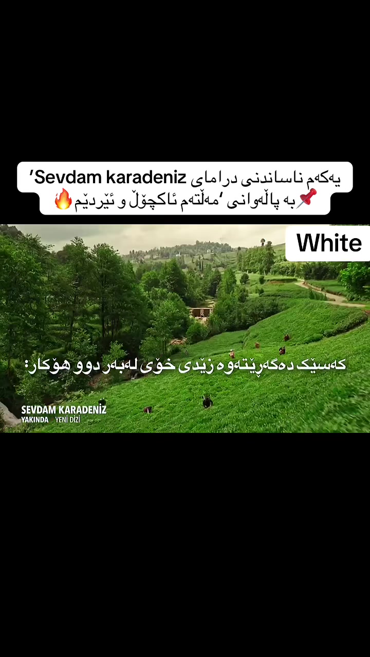 @White🤍