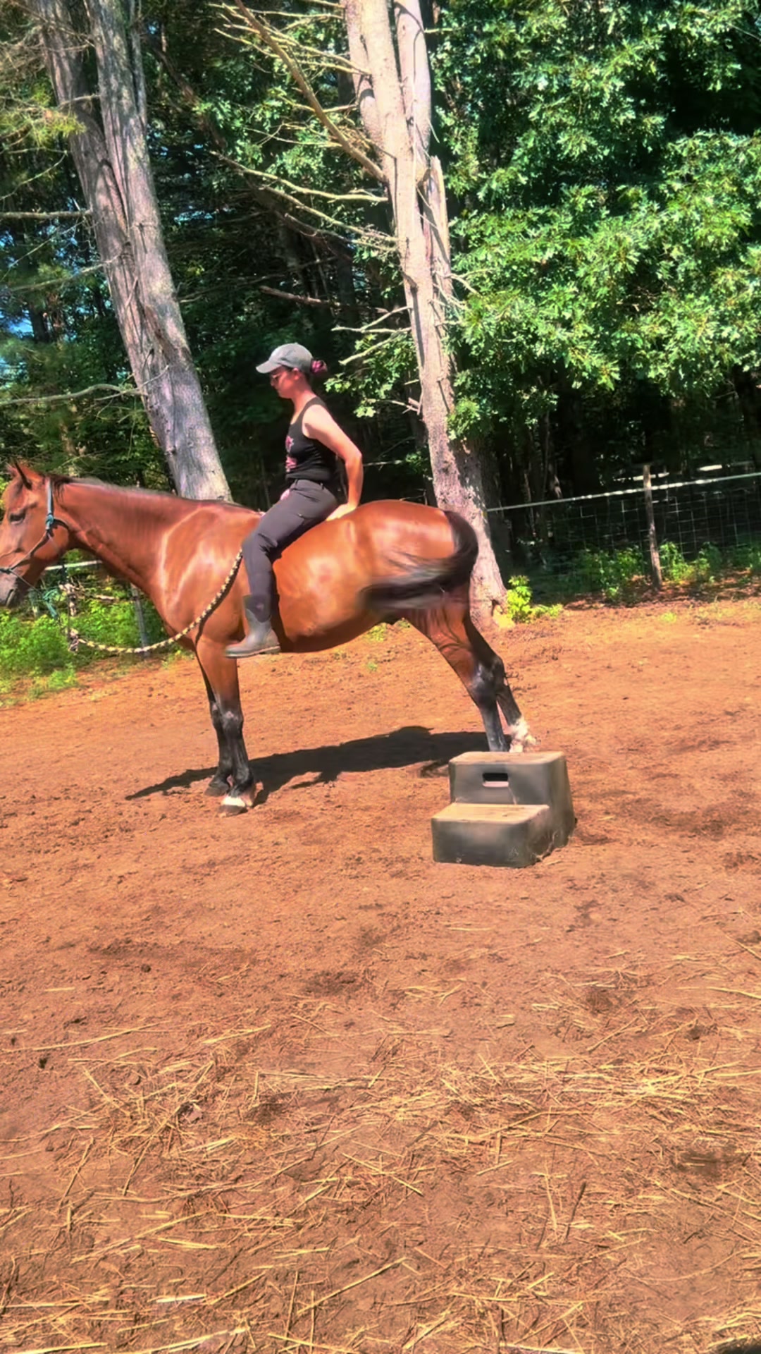 @Unshackled Hearts Ranch