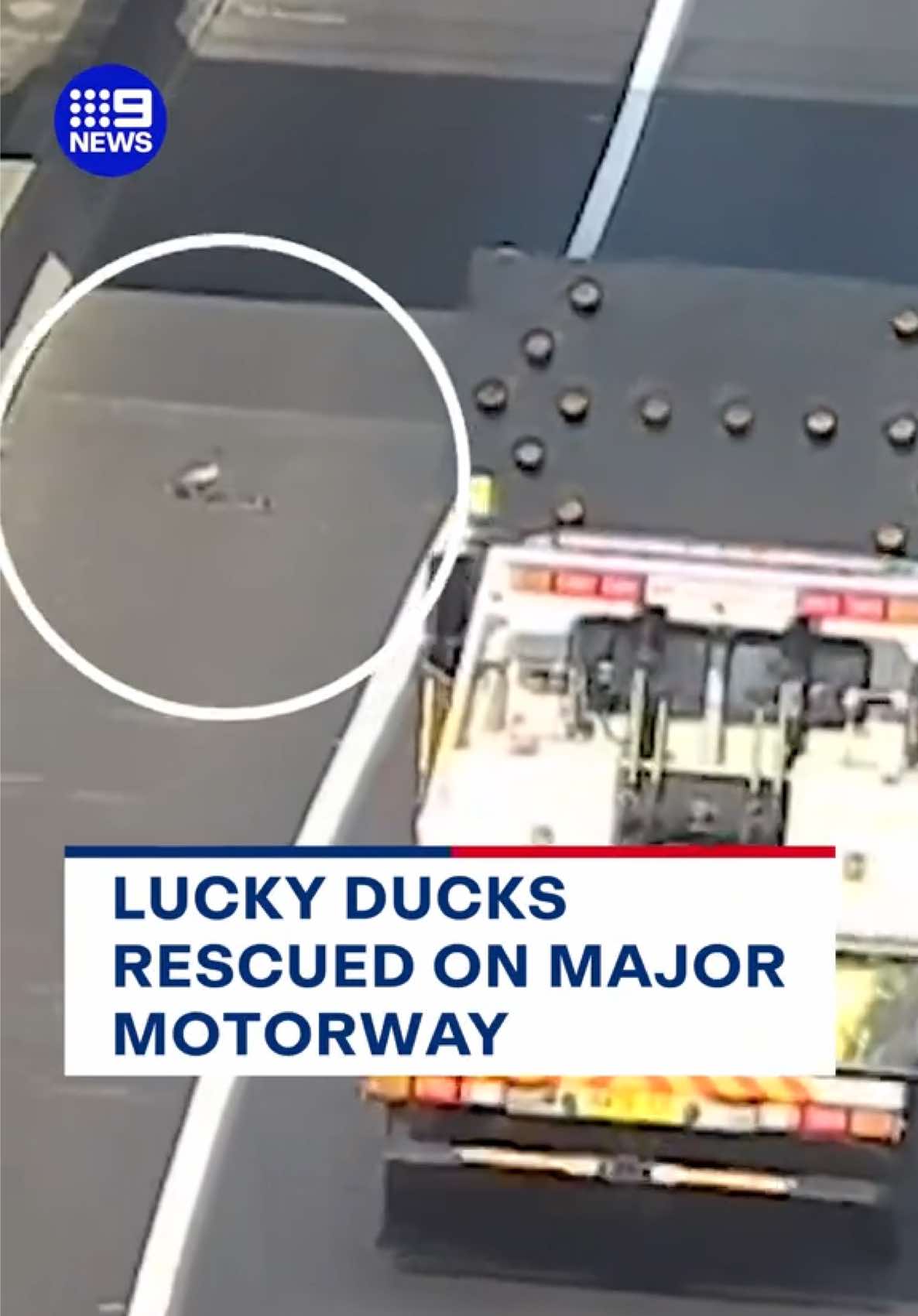@9News Sydney
