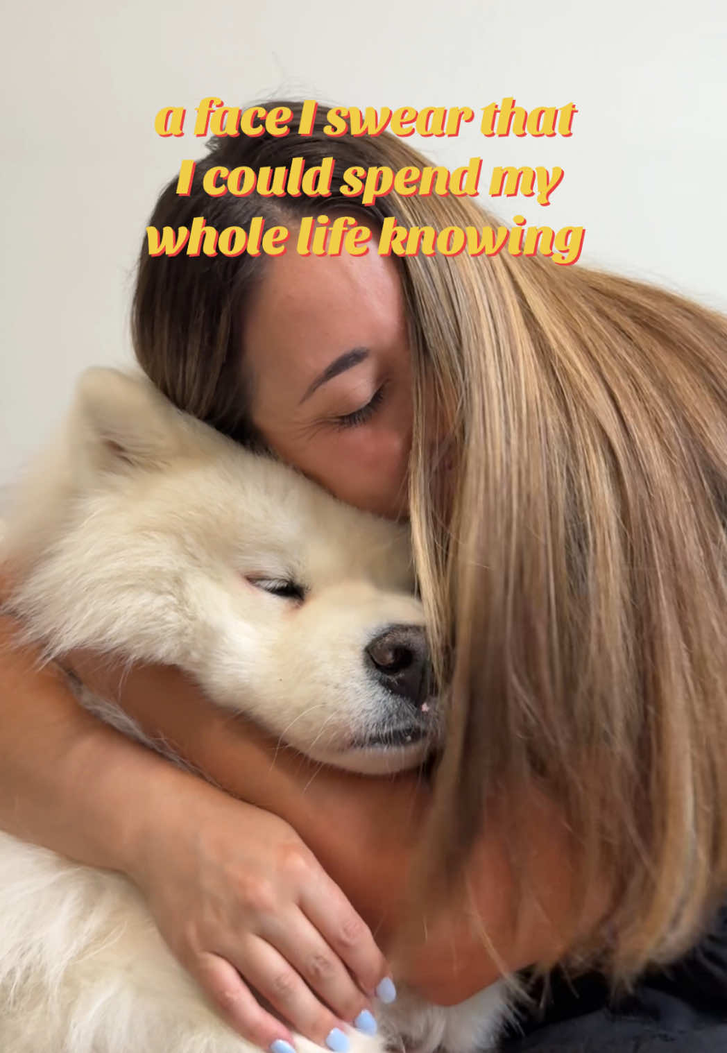 @Biff the Samoyed