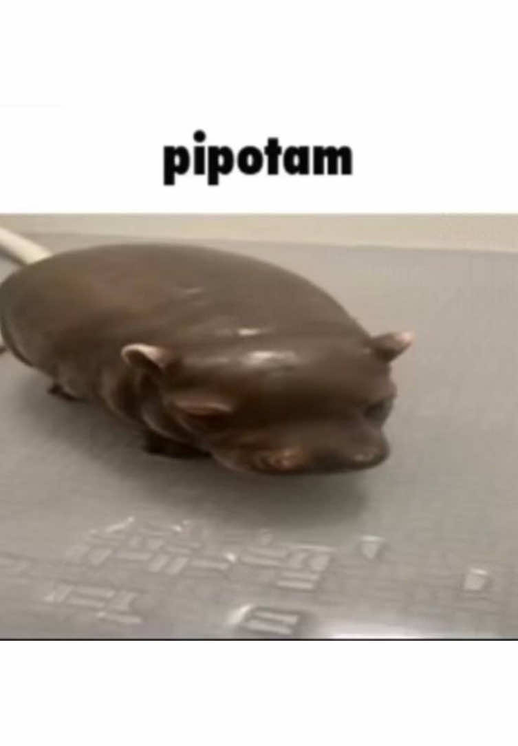 @щепка