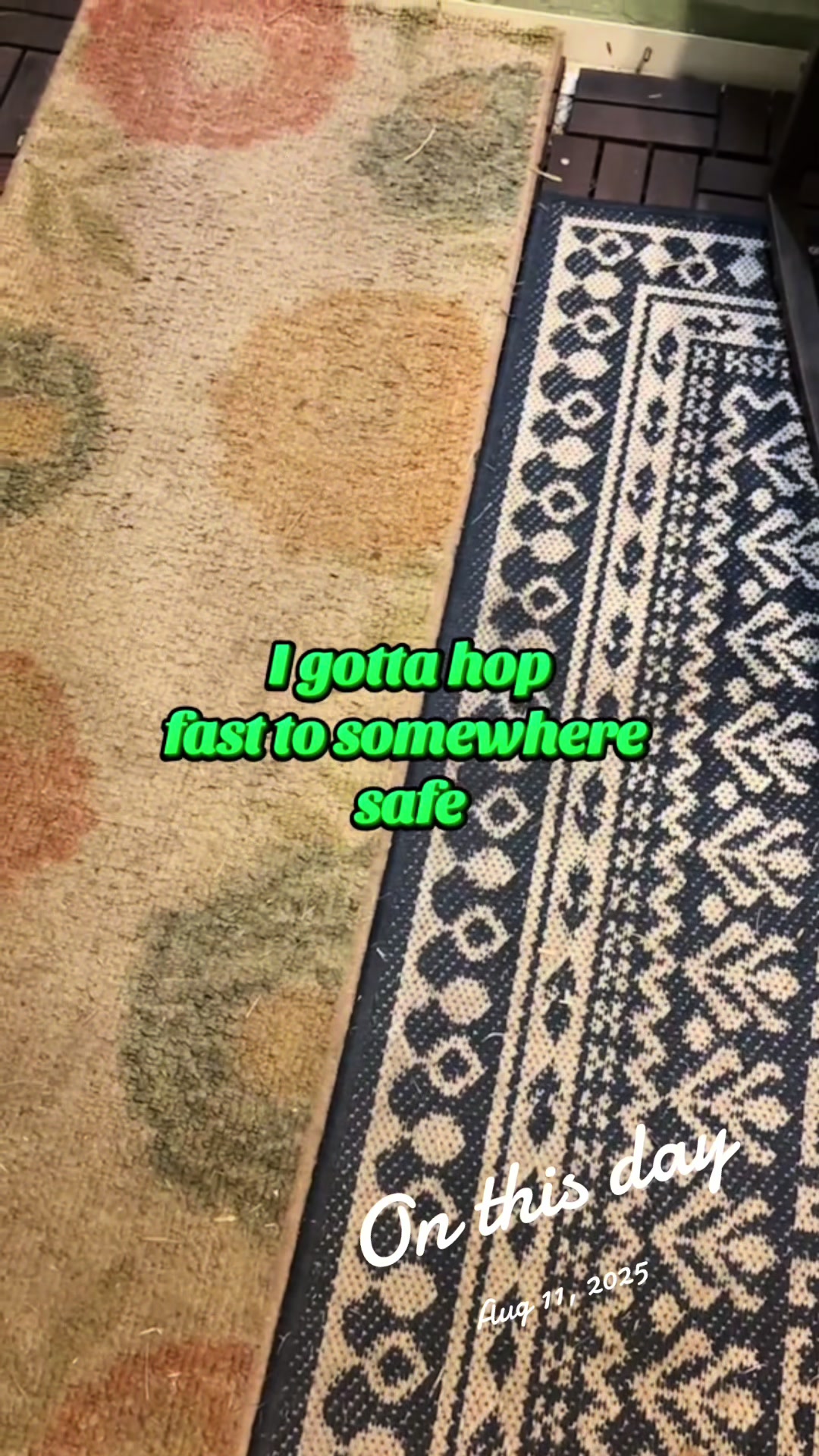 @originalSinkfrog