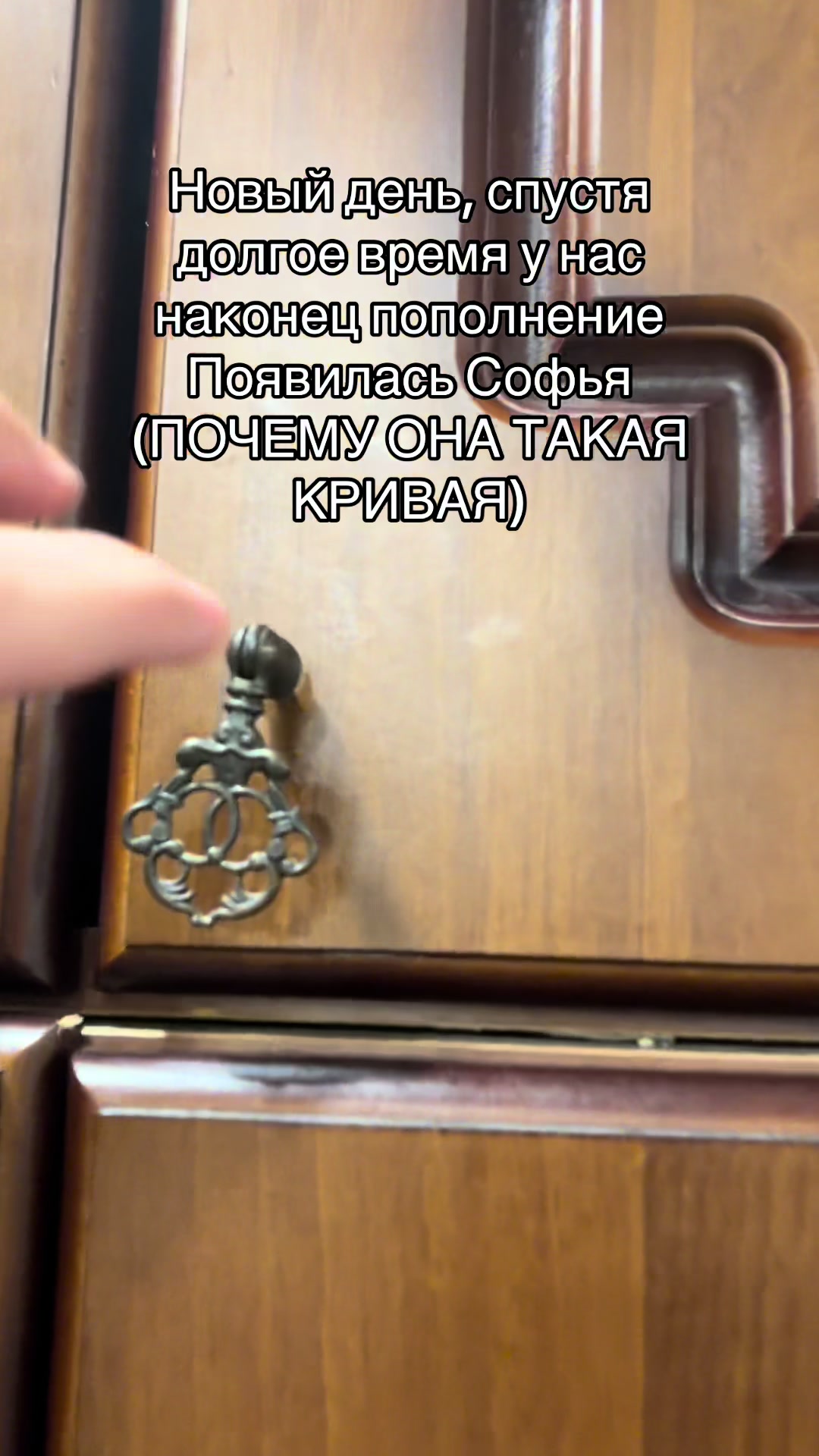 @Юрец шоколадный дворец