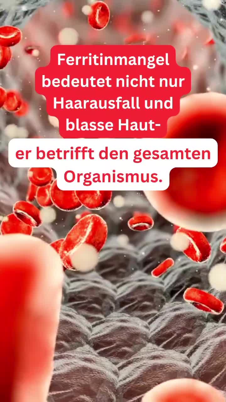 @VitaMetrics