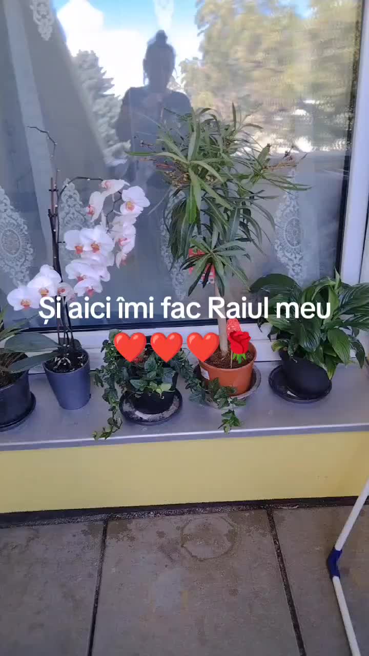 @Pau Tania