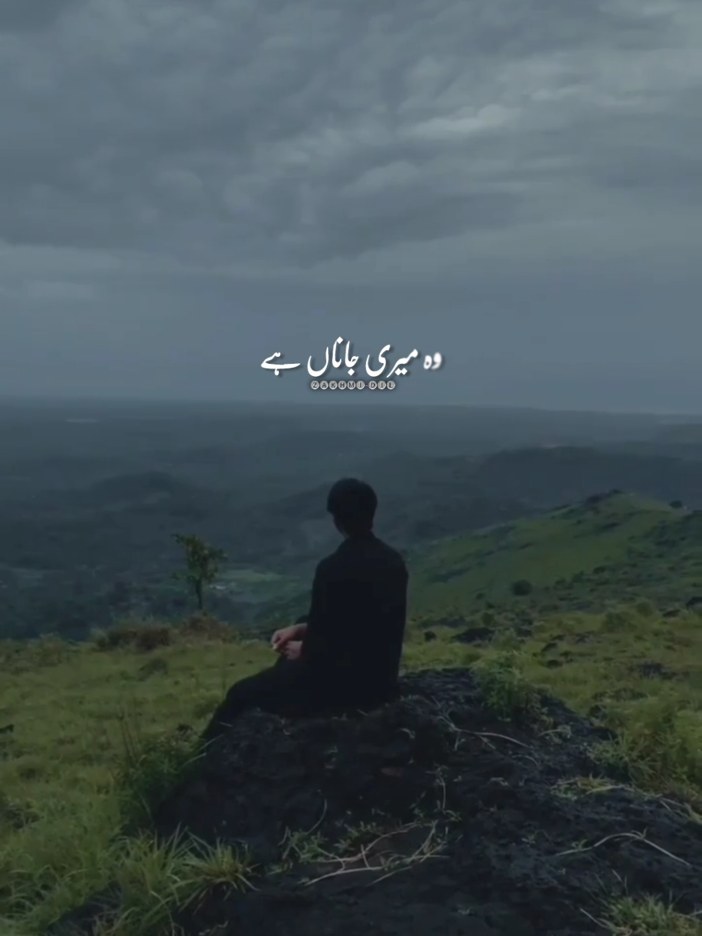 @💘💔زخمی دل💔💘