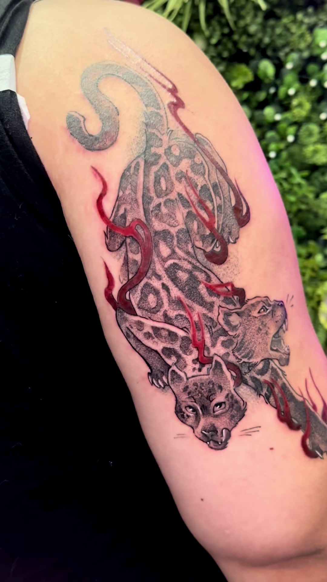 @moggy_tattoo