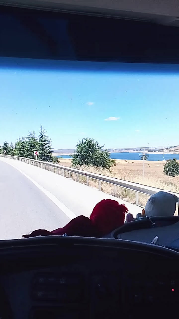 @Mehmet Sağlam