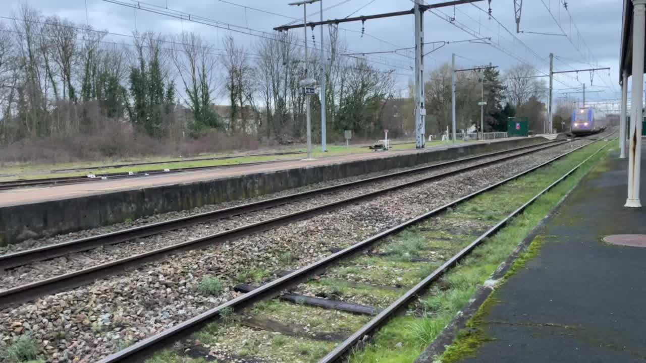 @Max 🚂