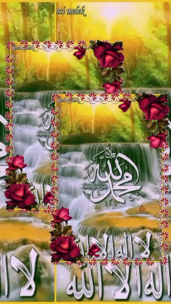 @👑Shakeel Mr Rajput 👑