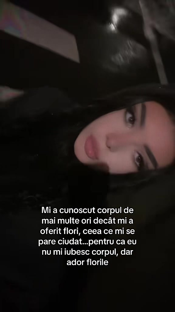 @Stefika😳