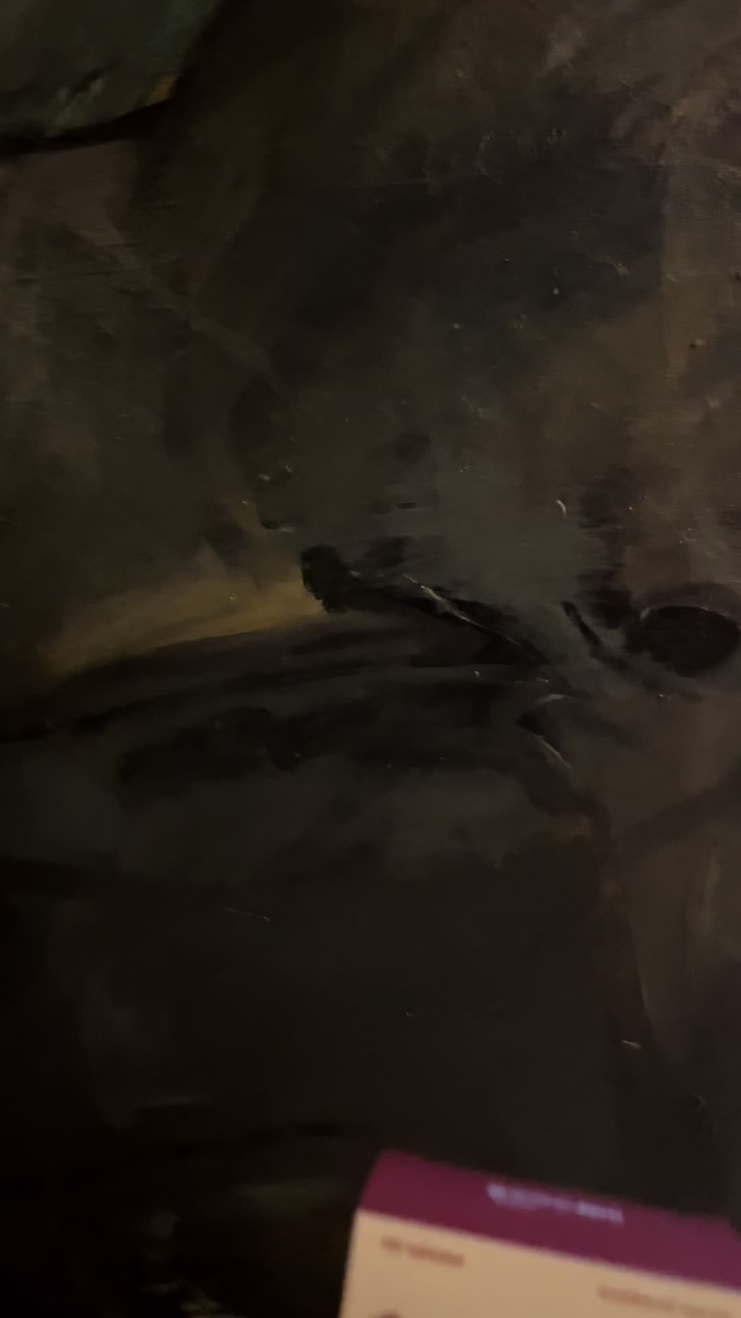 @Dyveke Kuløy