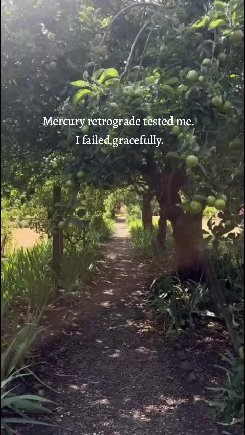 @modernwitchery444