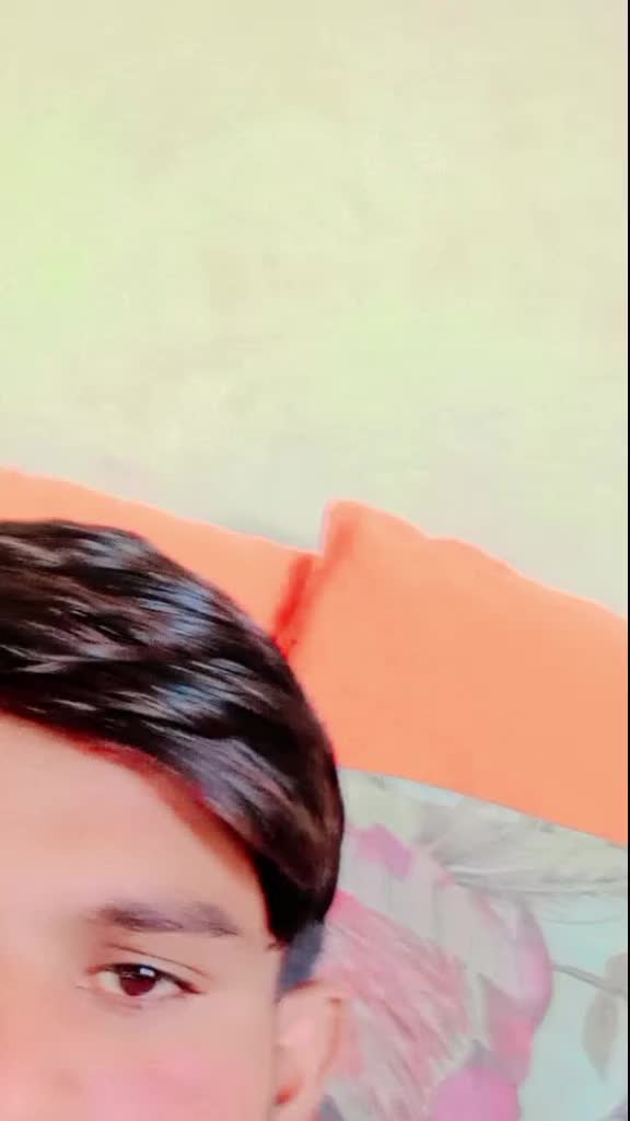 @zahiadkhitran573