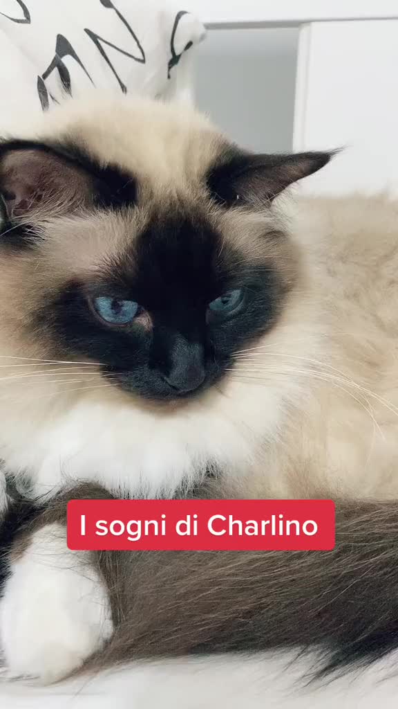 @Cristina Tarantino