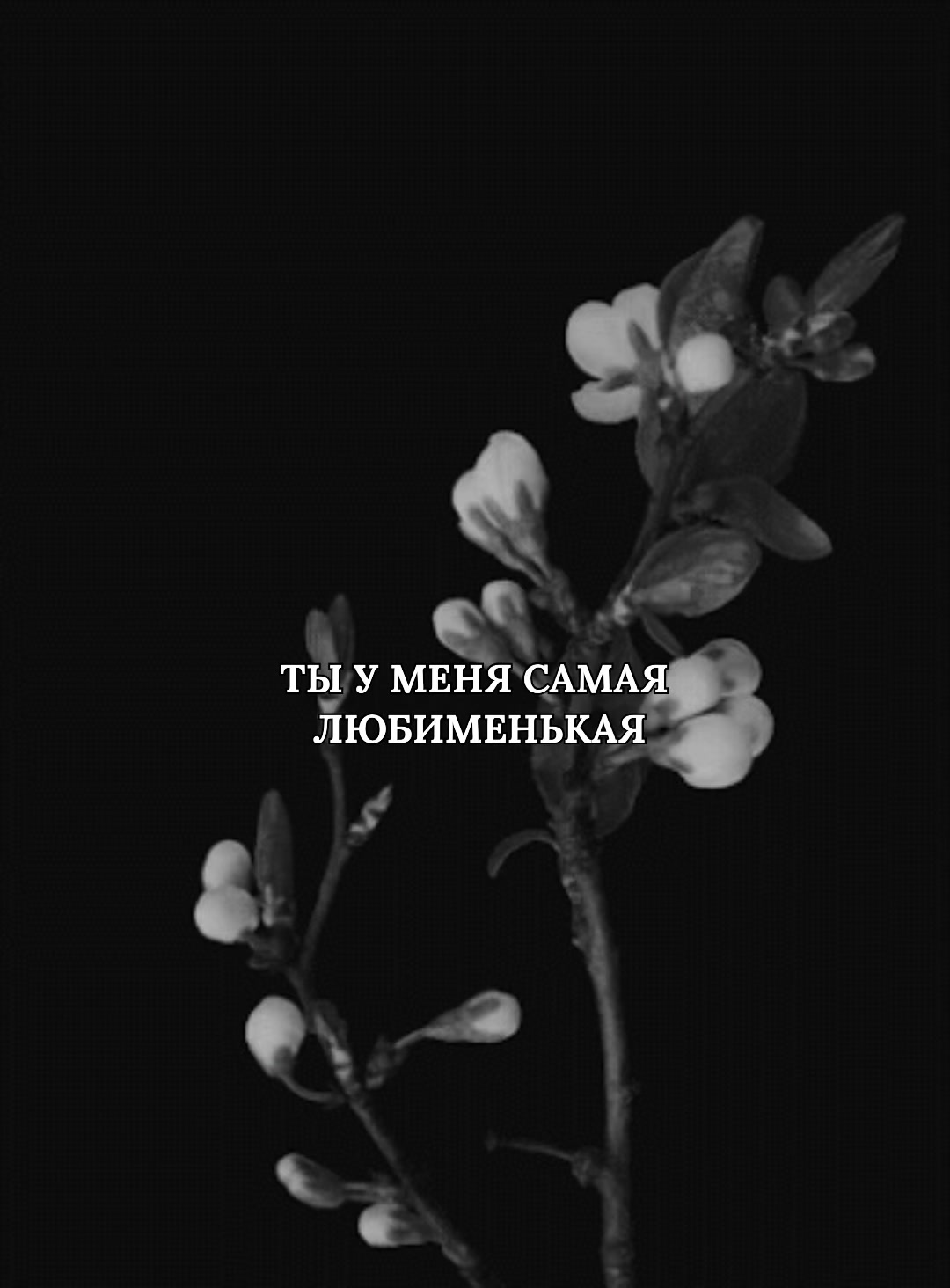 @TНОRFINN'🌗