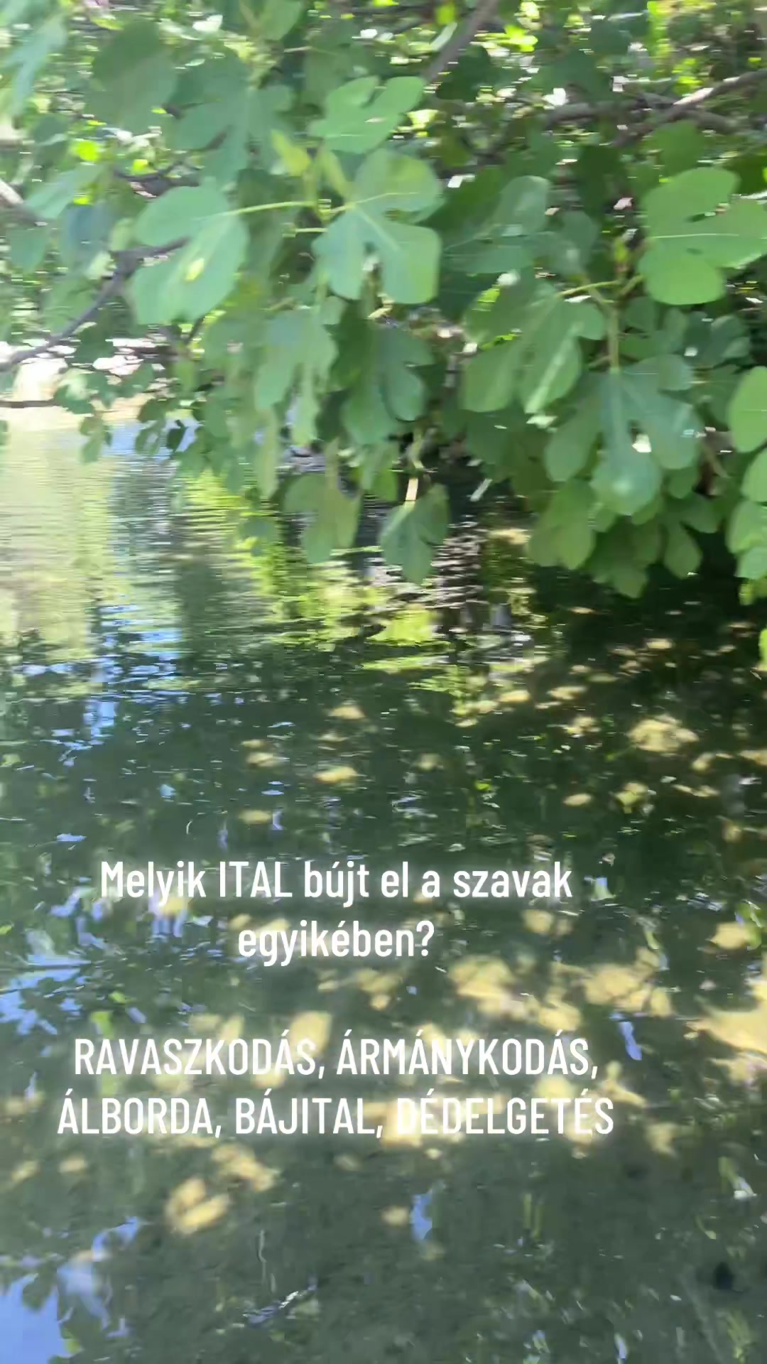 @Bizso, játssz velem naponta