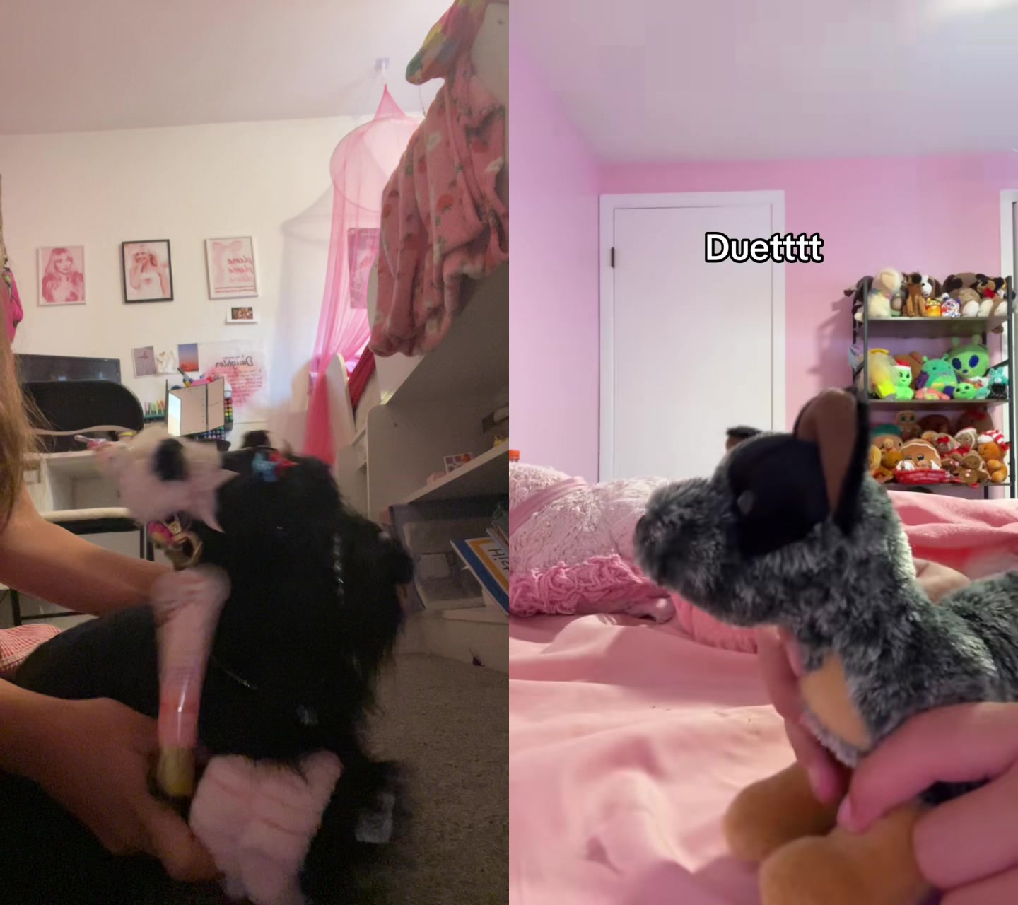 @Luna.Faith