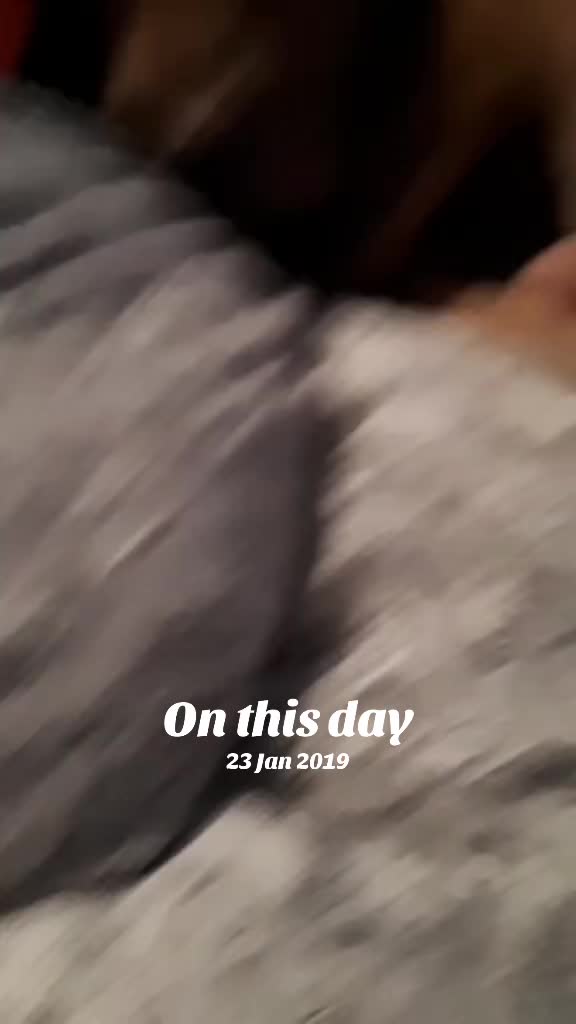 @simbathemerlepixiegirl