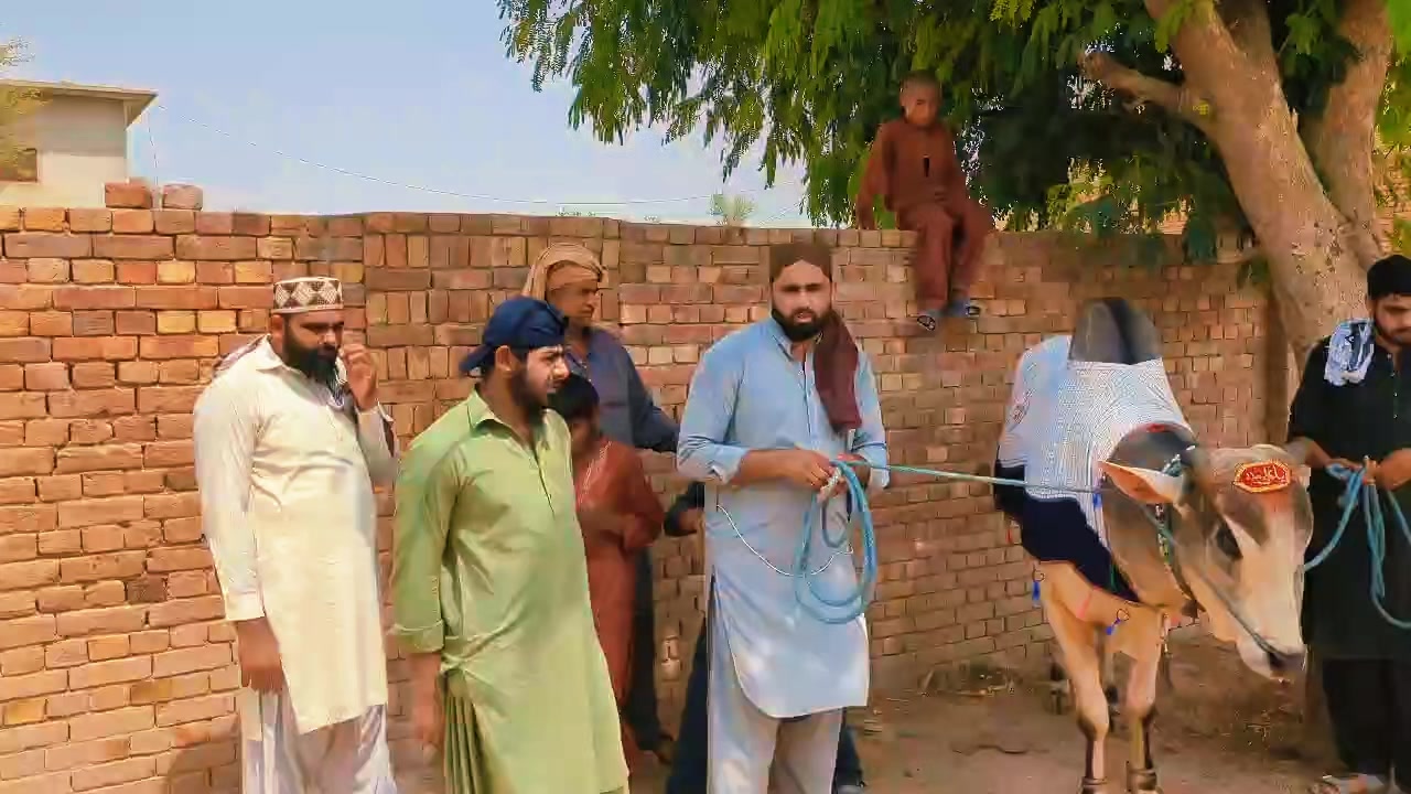 @چوہدری شاہد سلیم مڑل