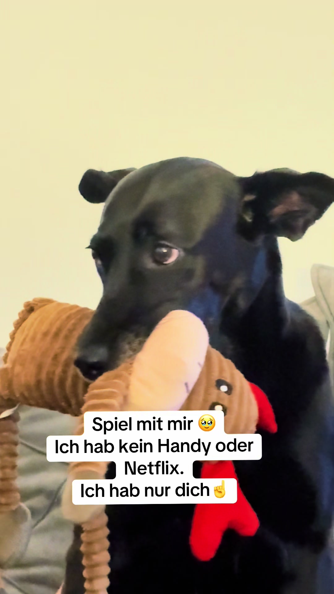 @BLACKY 🐶🐾