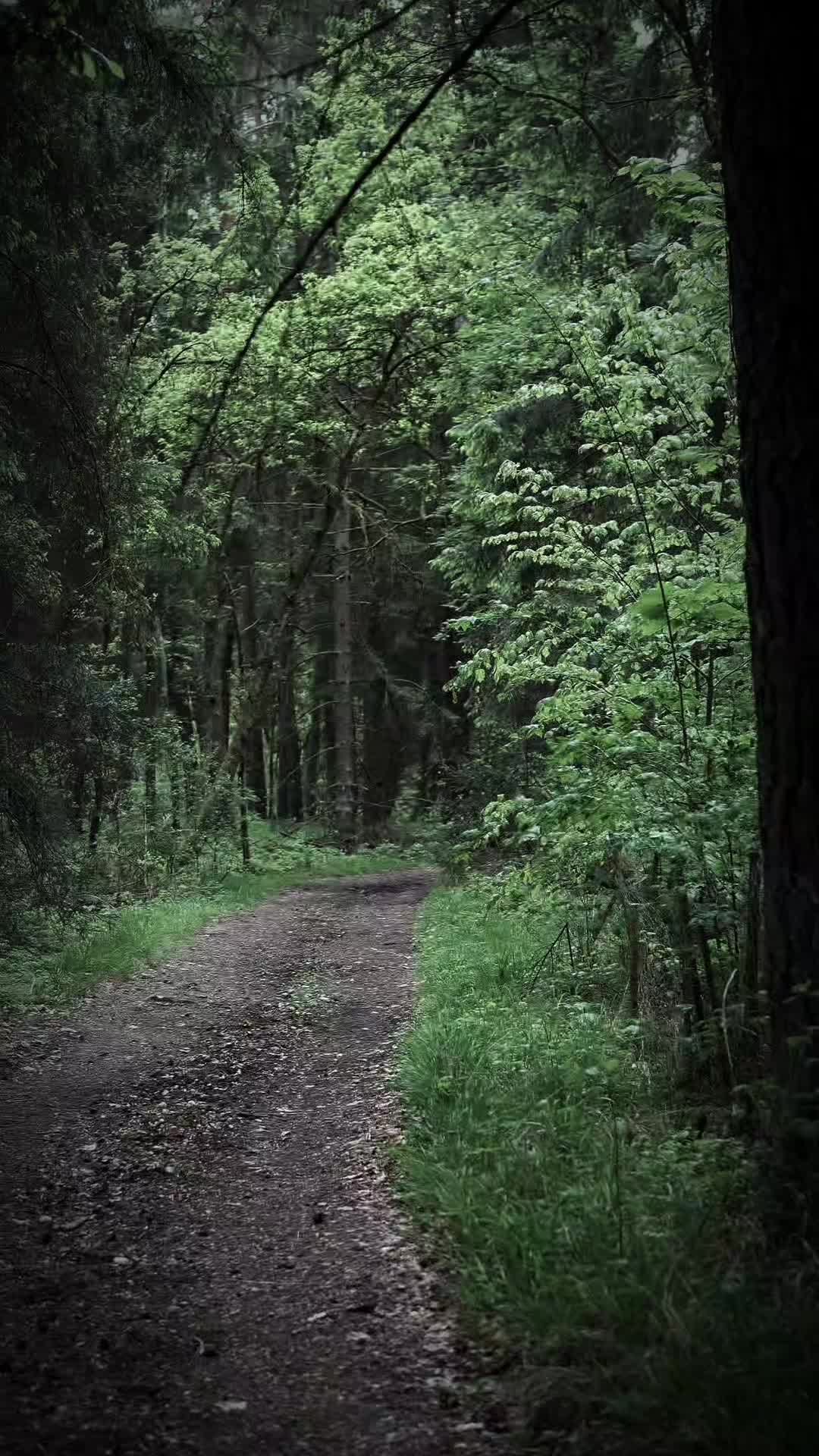 @TreeTales
