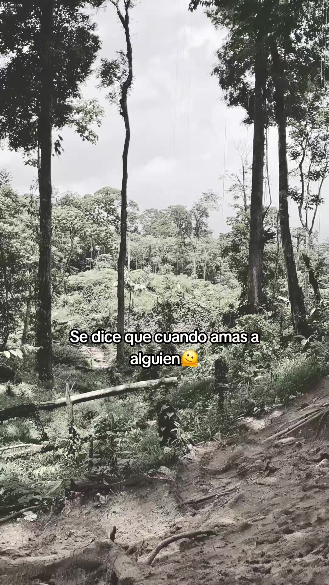 @gemelo Lopez 🥰