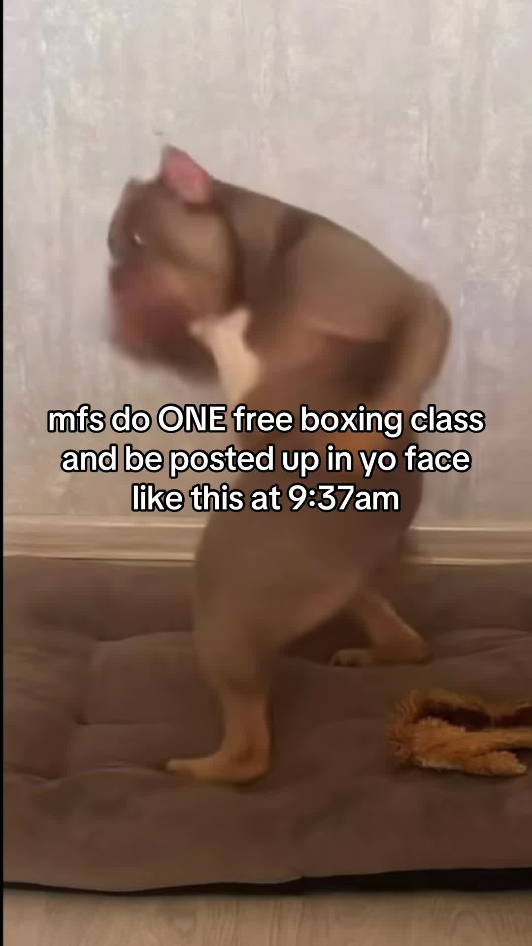 @kaizyl3