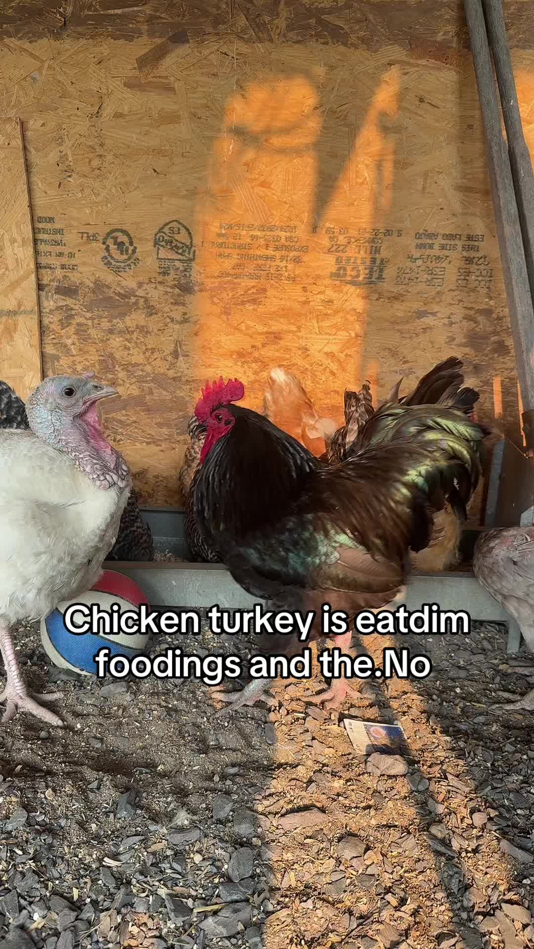 @No