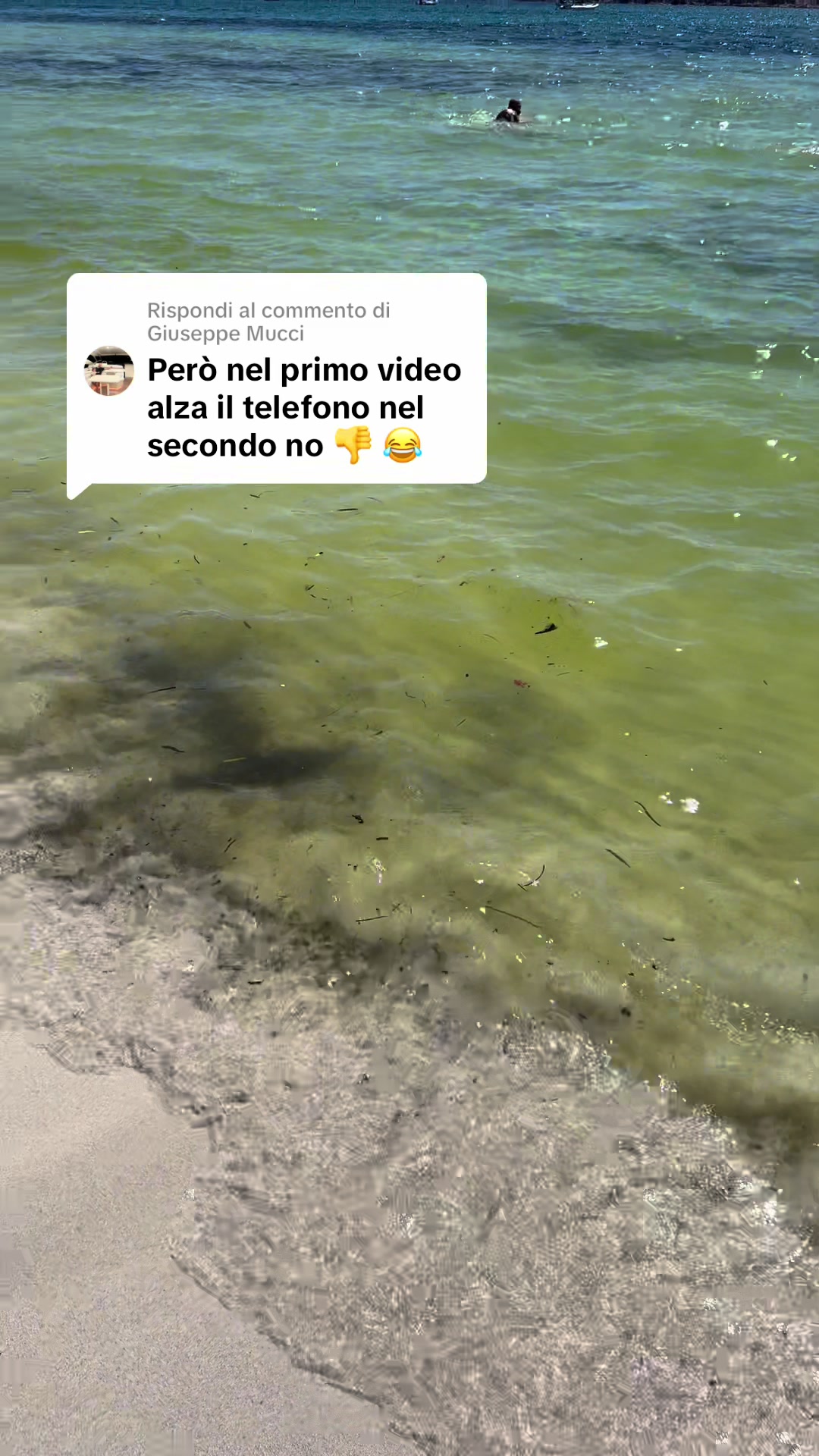 @robertoybeatrice