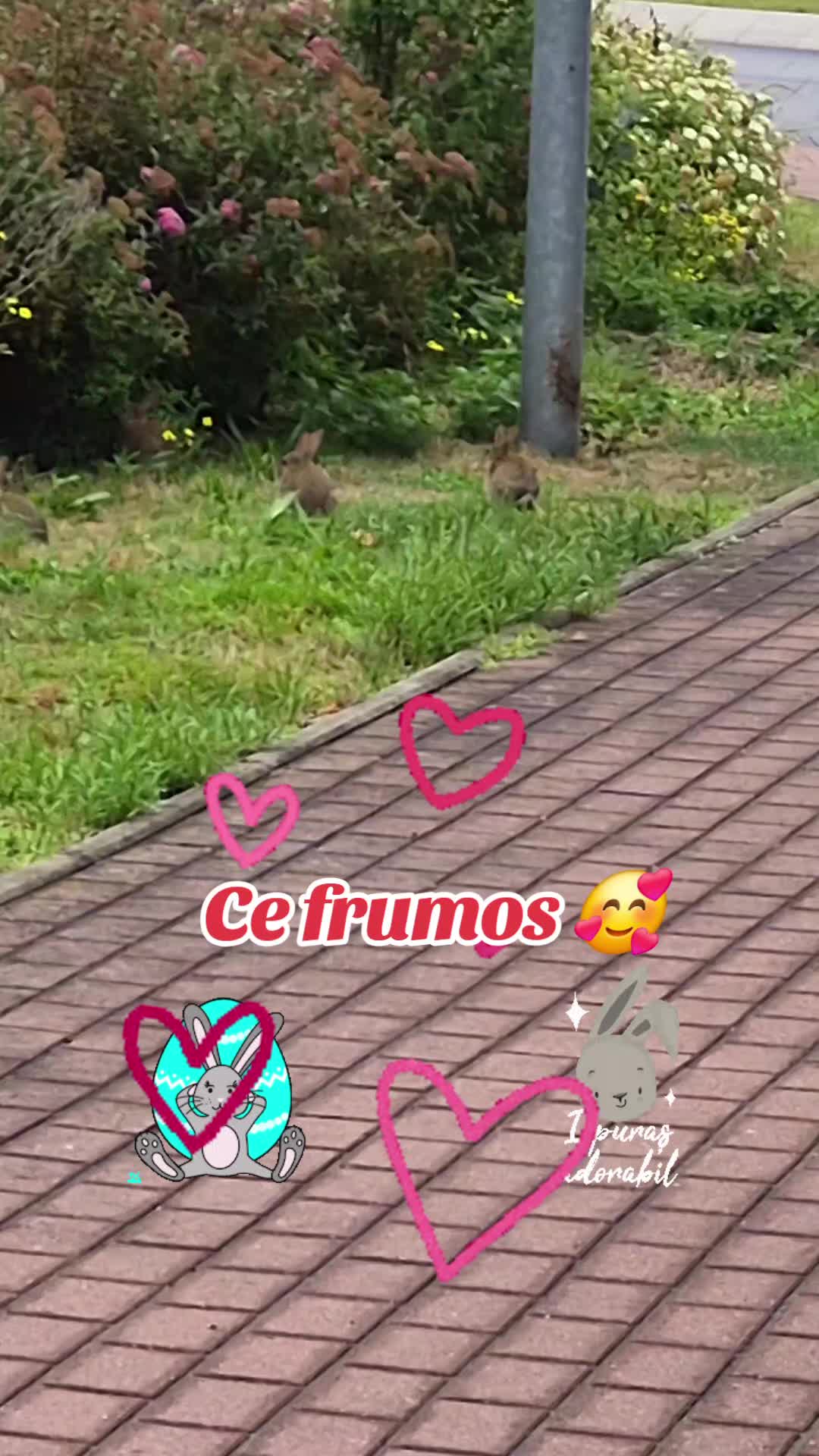 @Maryus