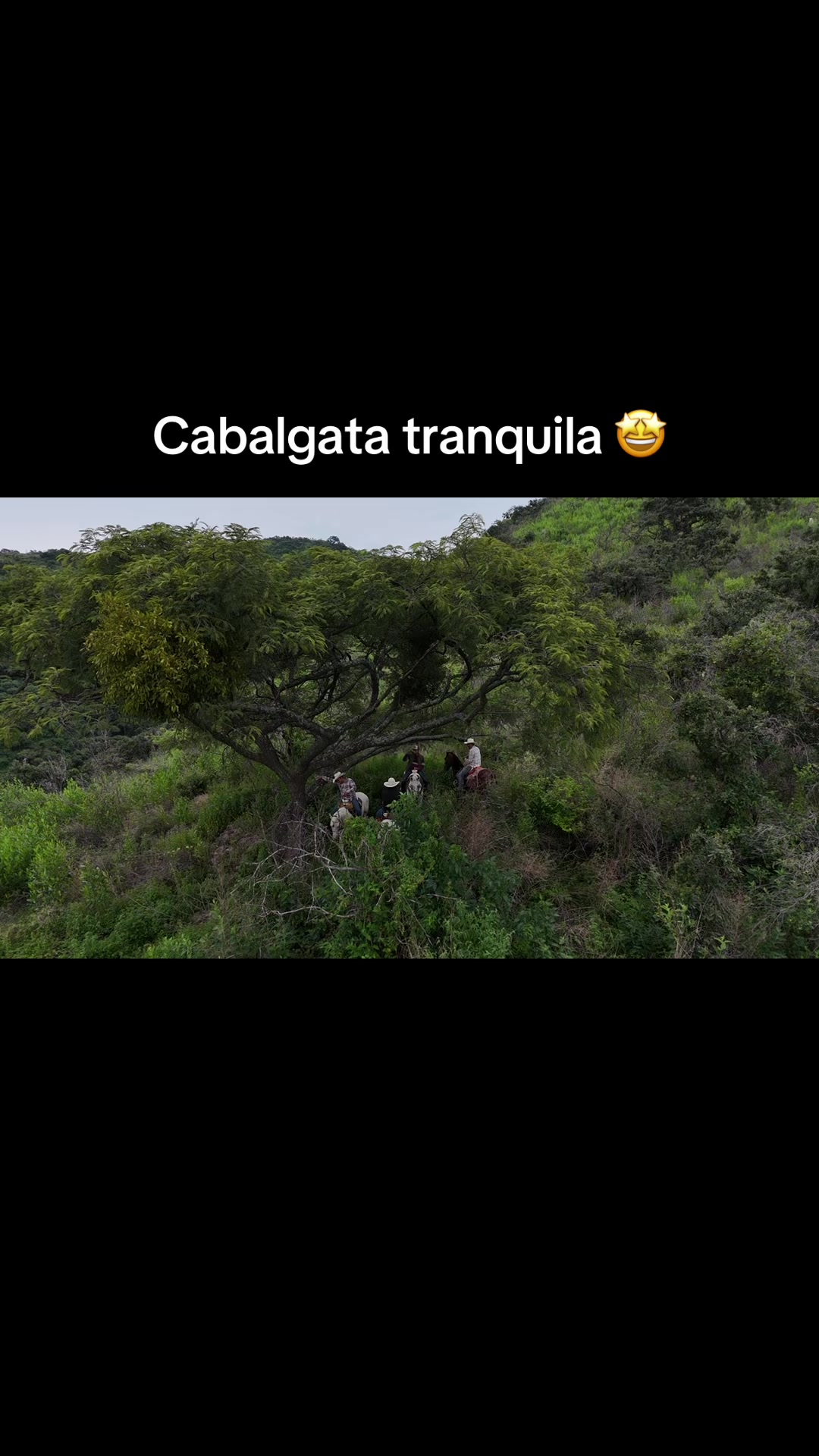 @lavidaderancho