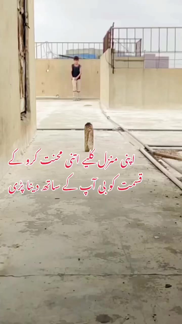 @M ibrahim 786