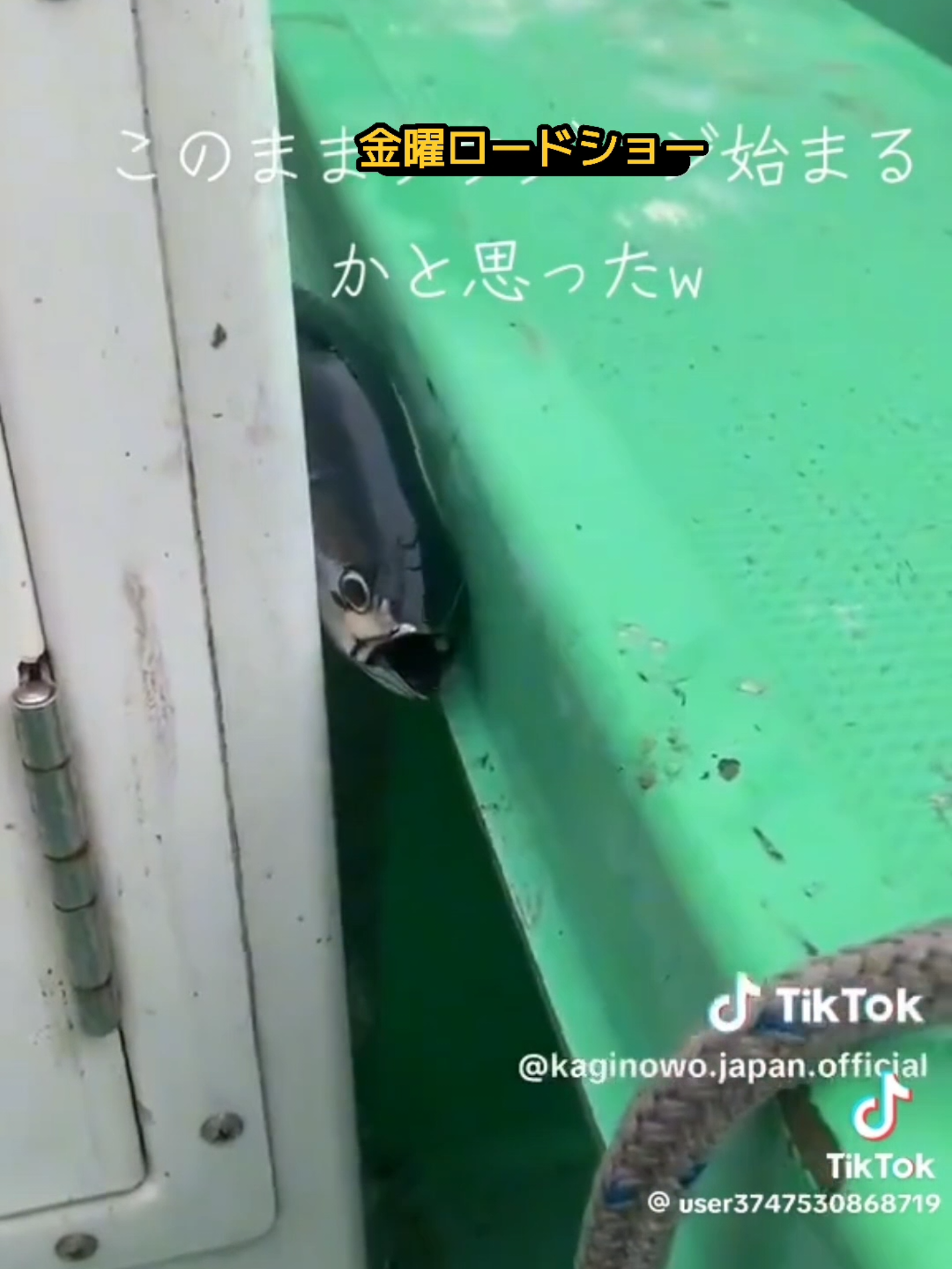 @タピオカ