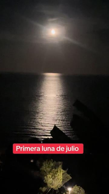 @Carmen Tomás 13