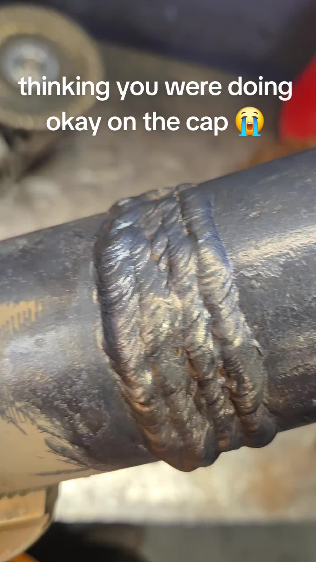 @shrimplebimple
