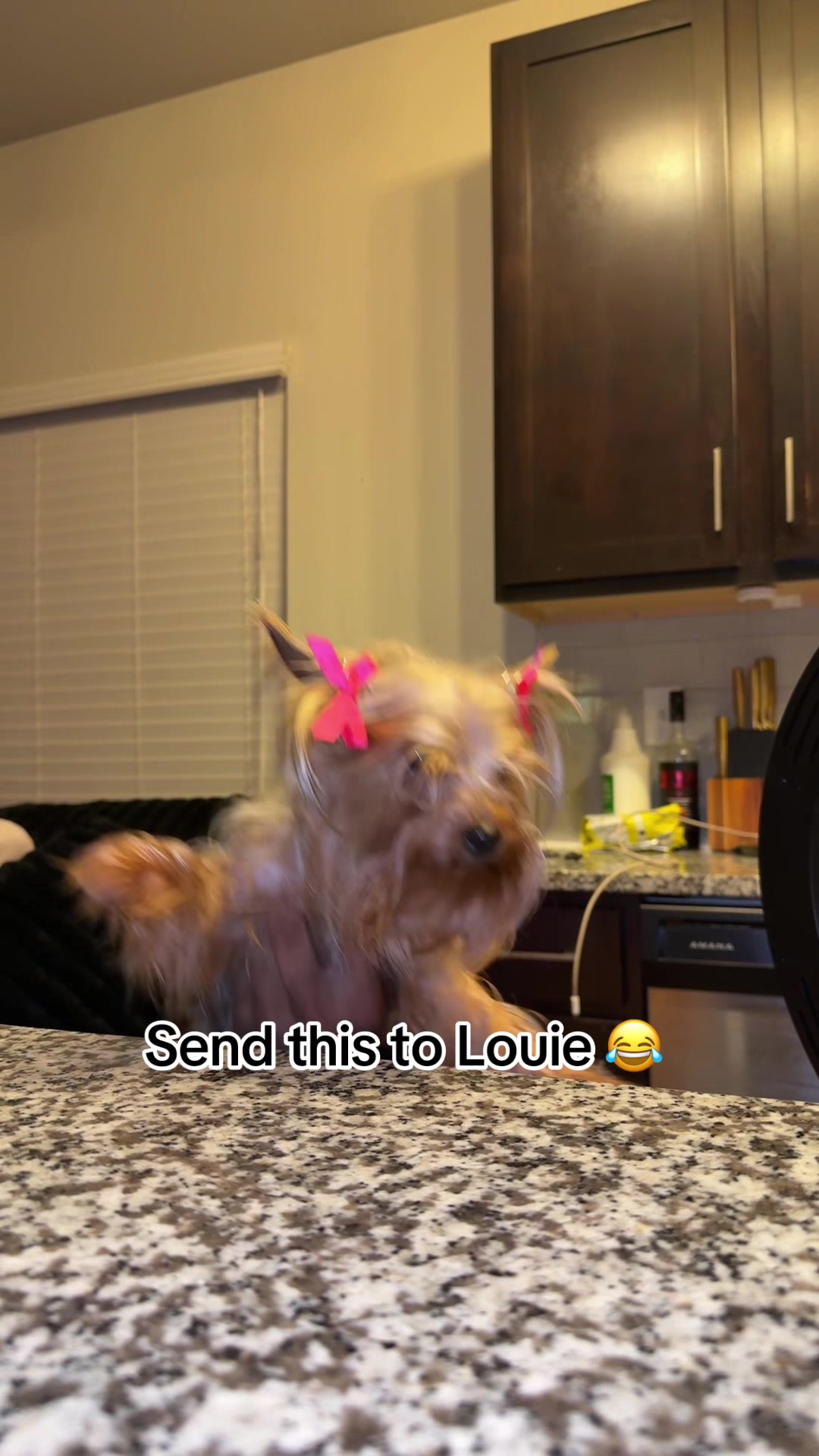 @famouscamm3