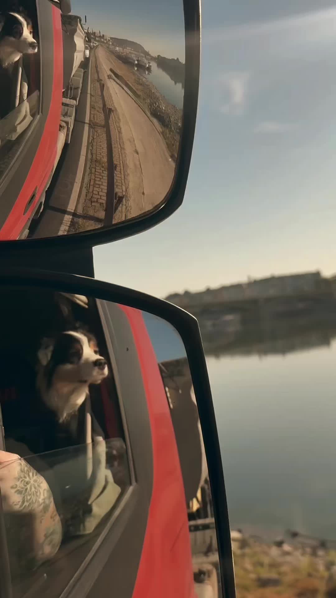 @Siegler-Gősi Niki