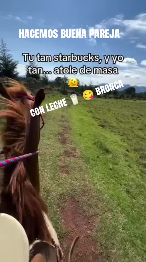 @luisfernandohcari